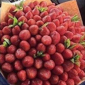 Meet your Posher, Olivia